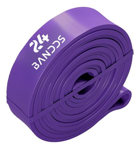 Powerband Banda De Resistencia Crossfit Gym Calistenia 36kg