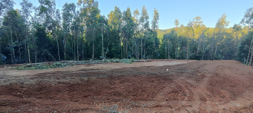 Parcela En Concepción A 5 Minutos Collao Después D Palomares