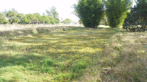 Imagem 11 de 15 de Terreno/sítio - 4365