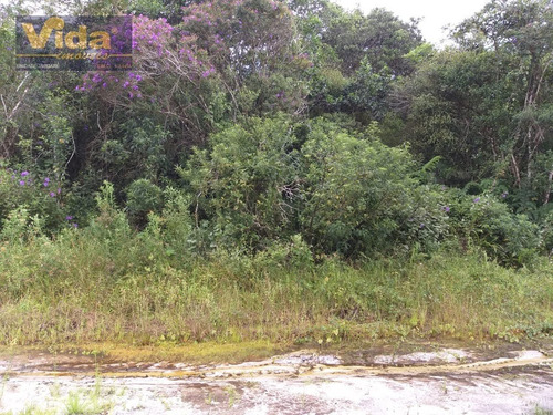 Imagem 3 de 3 de Terreno Em Jardim Anchieta - Itanhaém - 204371