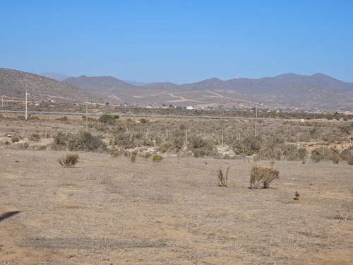 Oportunidad! Parcela 5.000 M²,5 Minutos De Playa Guanaqueros