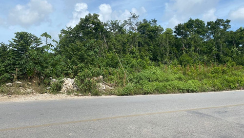 Imagen 1 de 13 de Terreno Venta Cancun Doctores 2500m2