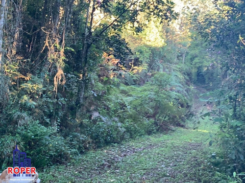 Imagem 11 de 23 de Chácara Com 35.000 M² Com 3 Casas/ Lago E Nascente À Venda Em Embu Guaçu/ São Lourenço Da Serra - Ch01031 - 34651874