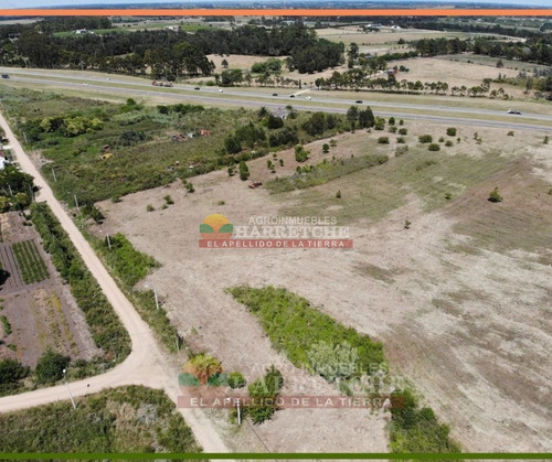 Imagen 12 de 14 de Terreno En Alquiler 44.857 M2 Urbanos Ruta 5 Apto Parque Industrial U$s 0.10 (el M2)