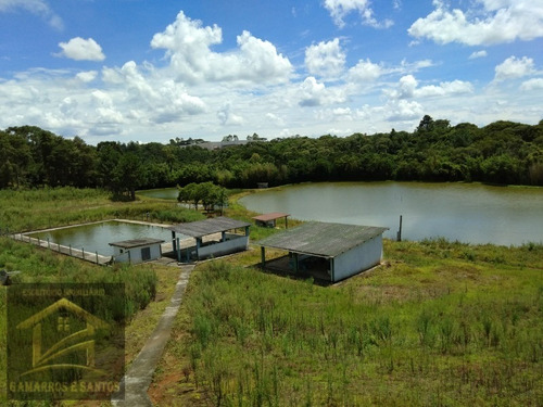 Imagem 23 de 30 de Oportunidade De Investimento Em Área Industrial Com 238.000 M² Em Cgs - Ar00006 - 33571959