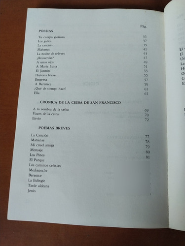 Libro La Ventana Encantada Julio Garmendia (Usado)