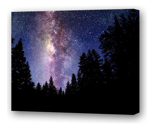 Cuadro 20x20cm Cielo Bosque Aurora Boreal Pinos