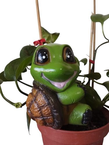 Tortuga Colgante Macetero Kit 5 Figura Decorativa Jardín Color Verde