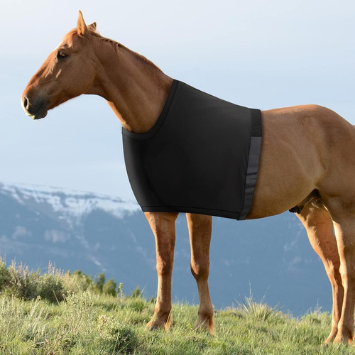 Chaleco Para Caballos Con Protección Para Hombros, Tejido