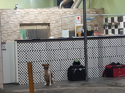 Imagem 2 de 2 de Vende _ Se Pizzaria