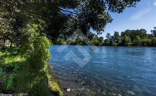 Imagen 6 de 16 de Sitio En Venta En Futrono