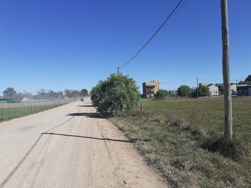 Imagen 2 de 3 de Lotes En Venta En Roque Perez