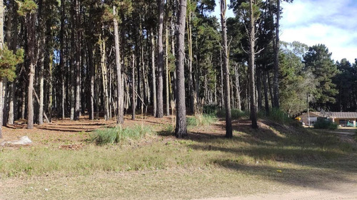 Imagen 1 de 18 de Terreno - Costa Esmeralda