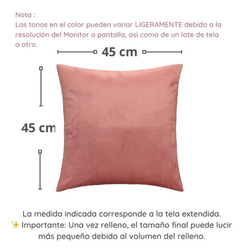 Set 2 Cojín Decorativo Minimalista Sala Recamara Coral Velvet