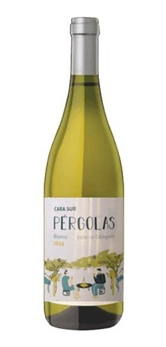 Cara Sur Pergolas - Torrontes Sanjuanino - Calingasta - Vino