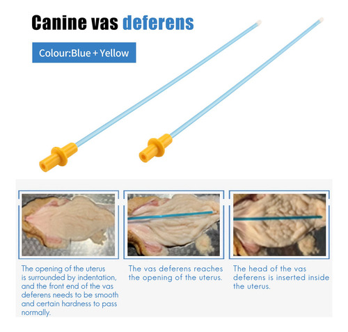 Tubo De Inseminación Artificial Desechable Para Perros, 50