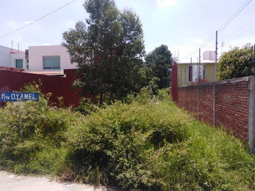 Imagen 2 de 6 de Terreno Renta Camino Real A Momoxpan!!