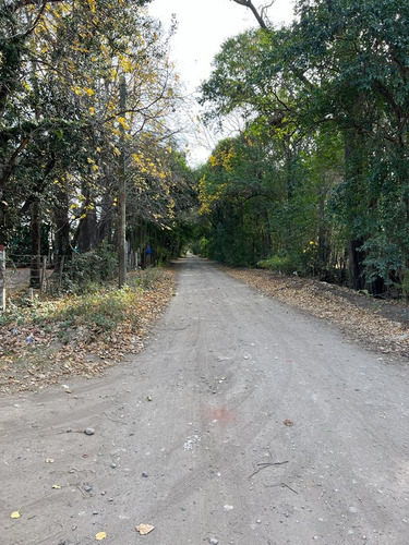 Imagen 8 de 18 de Quinta Barrio Villa Gran Parque Lote Con Propiedad