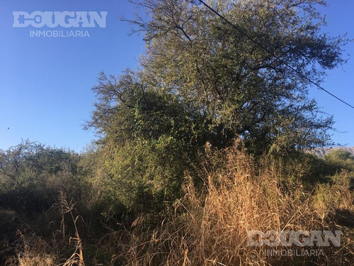 Imagen 2 de 8 de Terreno - Las Magdalenas