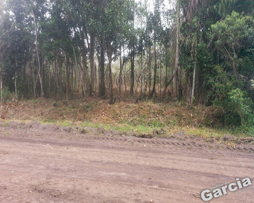 Imagem 1 de 2 de Tereno A Venda Em Peruíbe - 4771 - 34946183