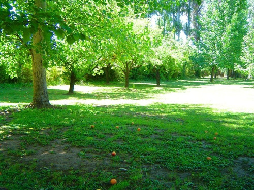 Centro De Eventos En Sector El Principal Pirque