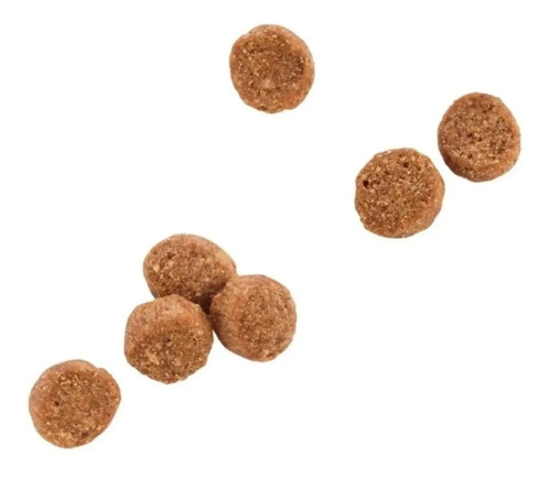 Alimento Natural Para Gato Receta Pollo Wholehearted 5.4kg