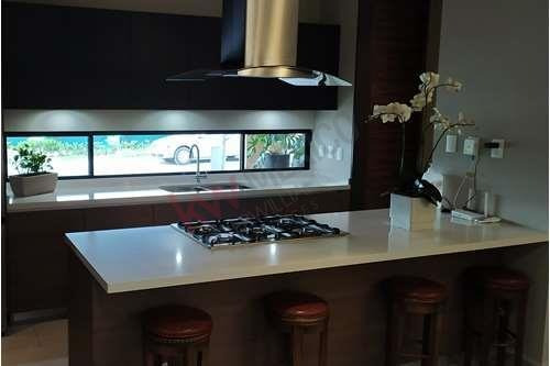 Imagen 15 de 25 de Tu Casa En Un Oasis En Medio De La Ciudad