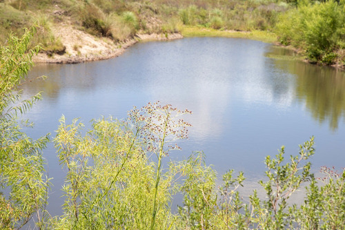 Venta Campo 20 Has
