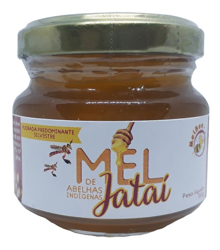 Mel De Abelhas Jataí - 150 Gramas