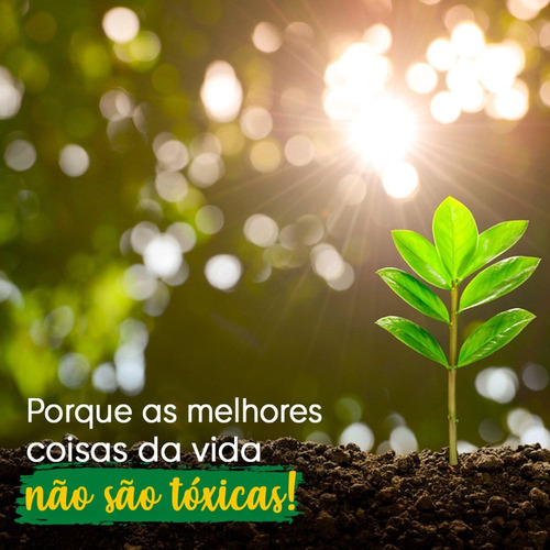 Camomila Chá das Flores Natural Kampo De Ervas 30gr