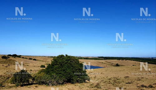 Gran Chacra Entre José Ignacio Y Garzón.- Ref: 2784