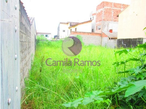 Imagem 3 de 6 de Terreno Residencial Para Locação, Jardim Quaresmeira, Suzano/sp. - Te0089 - 68334575