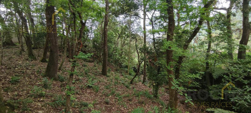 Terreno Enventa En Piedra De Agua En Jilotepec Veracruz