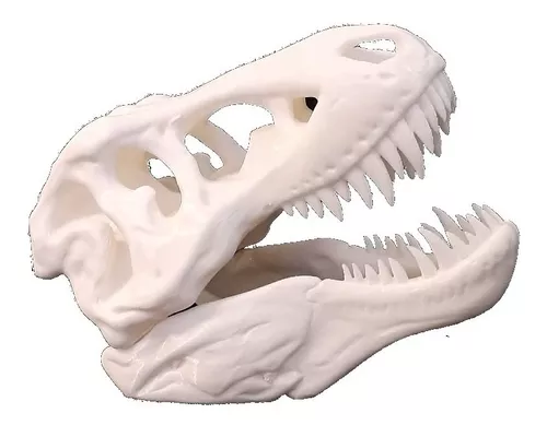 Cabeza T-rex Plastico 3d Cara Dinosaurio Hueso Trex