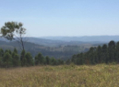 Imagem 2 de 5 de Fazenda Ótima Localização Itatiba - Sp - Jardim Das Nações - V4320