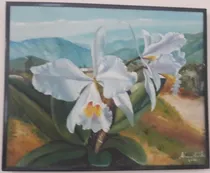 Comprar Cuadro Orquídeas Blancas. Enmarcado Al Oleo