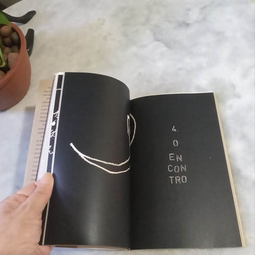 Livro: O Desmonte - Amarildo Felix (Usado)