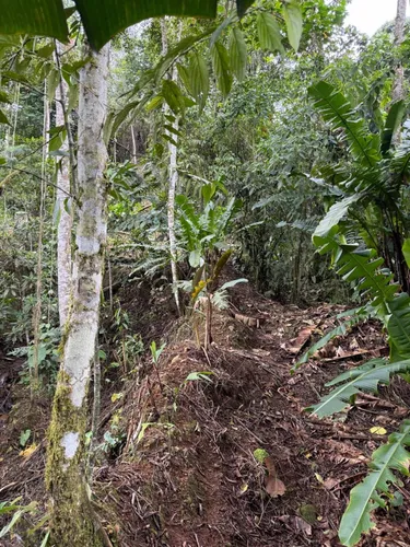 Hermosísima Finca Para Inversión