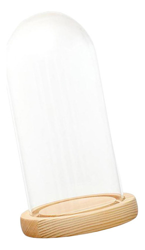 Cúpula De Cristal Transparente Cloche Mini 12cmx25cmx14cm 1