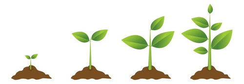 Cloreto De Potássio Vermelho Granulado Plantas Em Geral 10kg