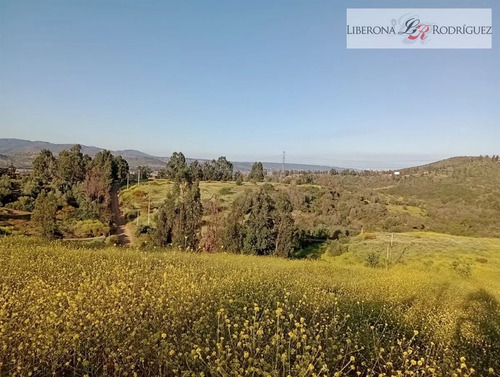 Parcela En Venta En Quillota