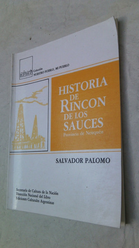 Historia De Rincon De Los Sauces Neuquen Palomo