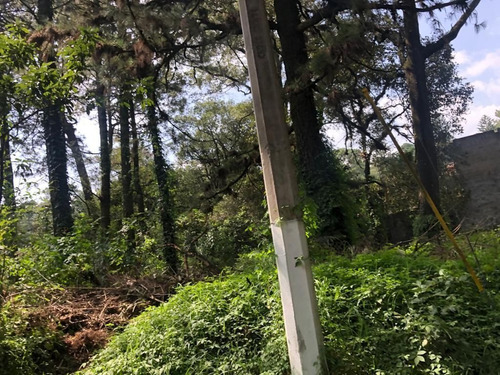 Imagen 5 de 8 de Aproveche Para Constuir Su Cabaña