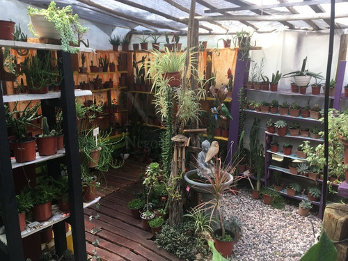 Imagen 4 de 30 de Casa + Vivero En Balneario Argentino