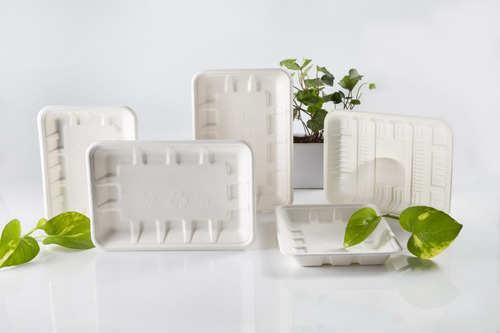 Charola Rectangular 855 Biodegradable Bagazo Caña C/600pzas