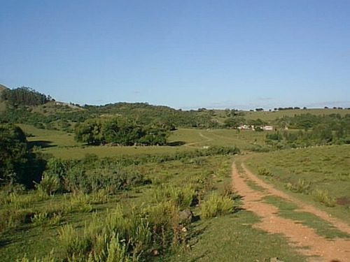 Imagen 1 de 6 de 330 Has Ganaderas En Lavalleja, Molles De Aiguá.