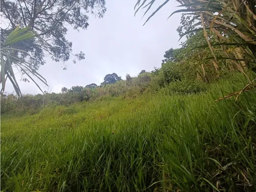 Se Vende Finca En Salento - Quindío