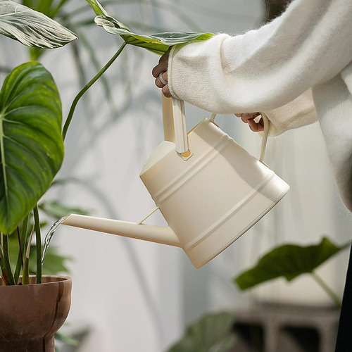 Lata De Agua De Larga, De Plantas, 3.8l, Mango Beige