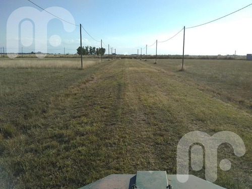 Imagen 4 de 11 de Venta Terreno -arana