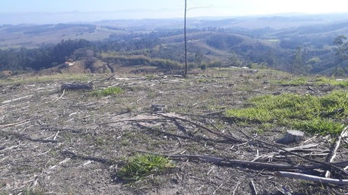 Imagem 10 de 17 de Linda Sitio Em Caçapava Com Ótimo Acesso A Via Dutra - Ar0010